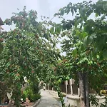 Hotel Kallithea