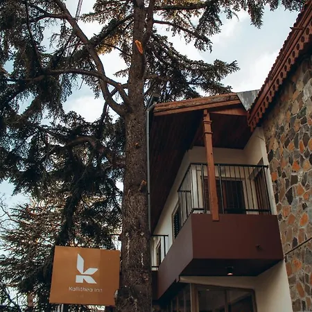 Hotel Kallithea Platres