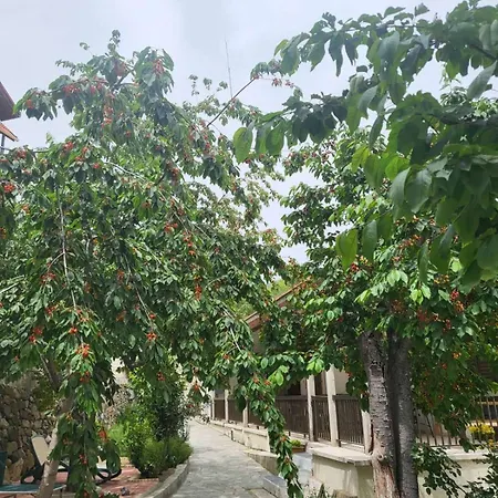 Hotel Kallithea