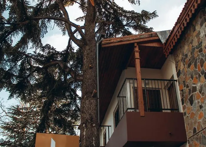 Hotel Kallithea Platres